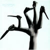 Thumbnail for the Octopus - Bonsai link, provided by host site