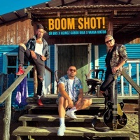 Thumbnail for the DR BRS - Boom Shot! link, provided by host site