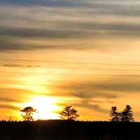 Thumbnail for the Mcleod - Borderline link, provided by host site