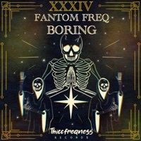 Thumbnail for the Fantom Freq - Boring link, provided by host site