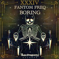 Thumbnail for the Fantom Freq - Boring link, provided by host site
