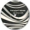 Thumbnail for the Transient Waves - Born With a Body and F****d in the Head link, provided by host site