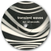 Thumbnail for the Transient Waves - Born With a Body and Fucked in the Head link, provided by host site