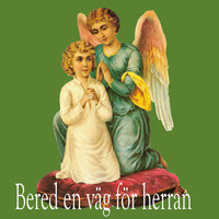 Thumbnail for the Rune Larsen - Bortom molnen link, provided by host site