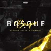 Thumbnail for the No Money Enterprise - Bosque link, provided by host site