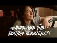 Thumbnail for the Lucy Spraggan - BOSTON MASSACHUSETTS - Vlog link, provided by host site