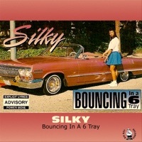 Thumbnail for the Silky - Bouncin in a 6 Tray link, provided by host site