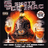 Thumbnail for the Fat Tone - Bouncin Switches link, provided by host site