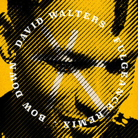 Thumbnail for the David Walters - Bow Down (Fulgeance Remix) link, provided by host site