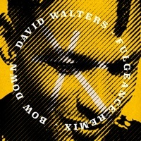 Thumbnail for the David Walters - Bow Down (Fulgeance Remix) link, provided by host site