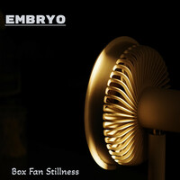 Thumbnail for the Embryo - Box Fan Stillness link, provided by host site