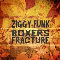Thumbnail for the Ziggy Funk - Boxer's Fracture link, provided by host site