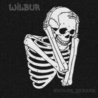 Thumbnail for the Wilbur - Br0k3n_Dr3amz link, provided by host site