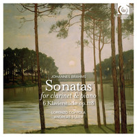 Thumbnail for the Johannes Brahms - Brahms: Sonatas for clarinet and piano Op. 120 link, provided by host site