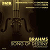 Thumbnail for the Andreas Delfs - Brahms: Song of Destiny (Shicksalslied) link, provided by host site