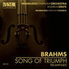 Thumbnail for the Andreas Delfs - Brahms: Song Of Triumph (Triumphlied) link, provided by host site