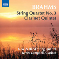 Thumbnail for the Johannes Brahms - Brahms: String Quartet No. 3, Op. 67 & Clarinet Quintet, Op. 115 link, provided by host site