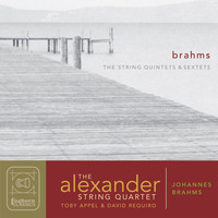 Thumbnail for the Johannes Brahms - Brahms: The String Quintet & Sextets link, provided by host site