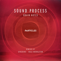 Thumbnail for the Sound Process - Brain Notes link, provided by host site