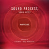 Thumbnail for the Sound Process - Brain Notes link, provided by host site