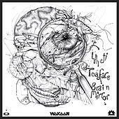 Thumbnail for the Toadface - Brain Waves link, provided by host site