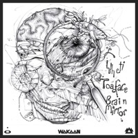 Thumbnail for the Toadface - Brain Waves link, provided by host site