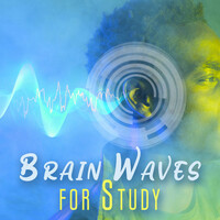 Thumbnail for the Reading and Studying Music - Brain Waves for Study: Mental Clarity for Easy Study link, provided by host site
