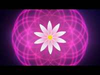 Thumbnail for the Elohim - Braindead (breathwork video) link, provided by host site