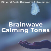 Thumbnail for the Binaural Beats Brainwave Entrainment - Brainwave Calming Tones link, provided by host site