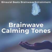 Thumbnail for the Binaural Beats Brainwave Entrainment - Brainwave Calming Tones link, provided by host site