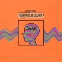 Thumbnail for the Priesemut - Brainwaves on Late Days link, provided by host site