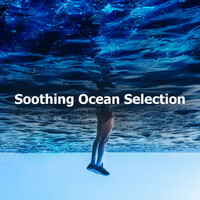 Image of Ocean Wave Sounds linking to their artist page due to link from them being at the top of the main table on this page