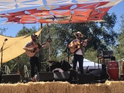 Thumbnail for the Bear Market Riot - Branch Mill Music Festival 2019 link, provided by host site