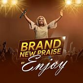 Thumbnail for the Enjoy - Brand New Praise link, provided by host site