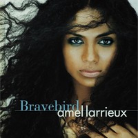 Thumbnail for the Amel Larrieux - Bravebird link, provided by host site