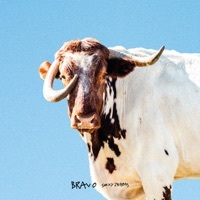 Thumbnail for the Sexy Zebras - Bravo link, provided by host site