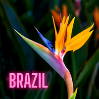 Thumbnail for the Lugo - Brazil link, provided by host site