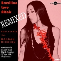 Thumbnail for the Soulfeenix - Brazilian Love Affair (Remixed) link, provided by host site