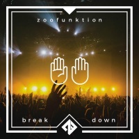 Thumbnail for the ZooFunktion - Break Down link, provided by host site