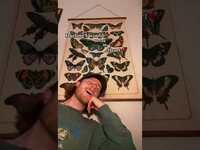 Thumbnail for the Matt Hansen - Break my heart (TikTok song) link, provided by host site