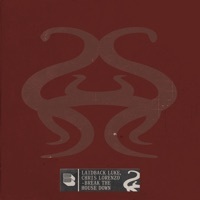 Thumbnail for the Laidback Luke - Break the House Down link, provided by host site