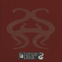 Thumbnail for the Laidback Luke - Break The House Down link, provided by host site