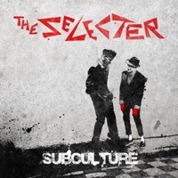 Thumbnail for the The Selecter - Breakdown link, provided by host site