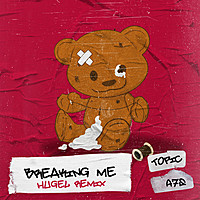 Thumbnail for the Topic - Breaking Me (HUGEL Remix) link, provided by host site