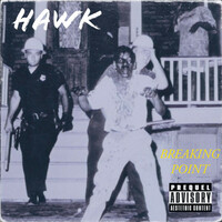 Thumbnail for the Hawk - Breaking Point (Remix) link, provided by host site