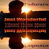 Thumbnail for the Paduraru - Breaking Points (Tribal House Mix) link, provided by host site