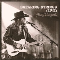 Thumbnail for the Adam Wakefield - Breaking Strings link, provided by host site