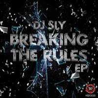 Thumbnail for the DJ Sly - Breaking The Rules link, provided by host site