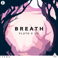 Image of Pluto linking to their artist page due to link from them being at the top of the main table on this page