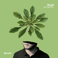 Image of Moglii linking to their artist page due to link from them being at the top of the main table on this page